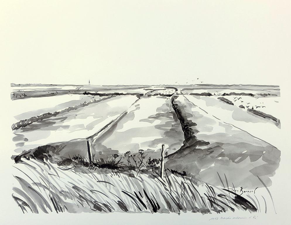 Marais endormis à Ré (Lavis, 50×65)
